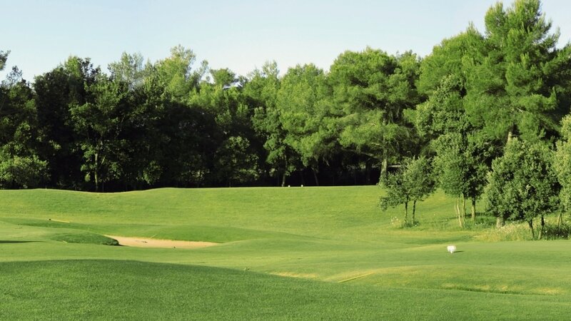 Golf course with trees