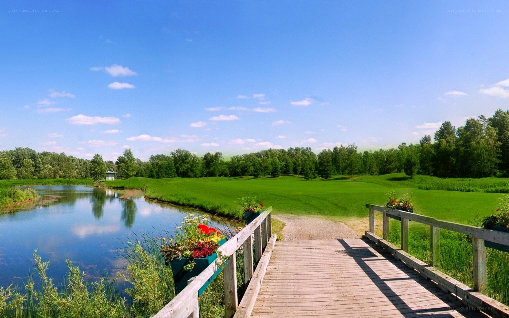 Golf course with wooden bridge