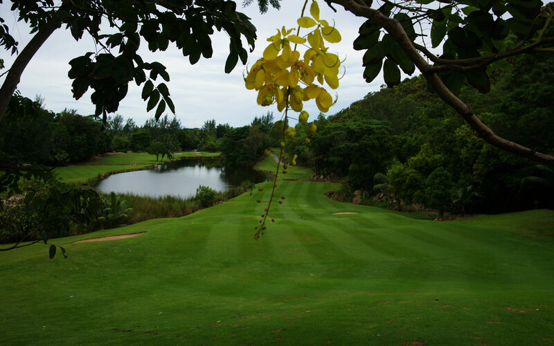 Golf course with yellow flowers