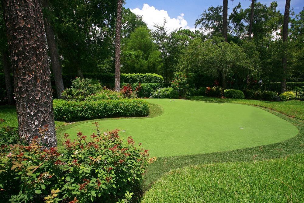 Golf putting green in garden