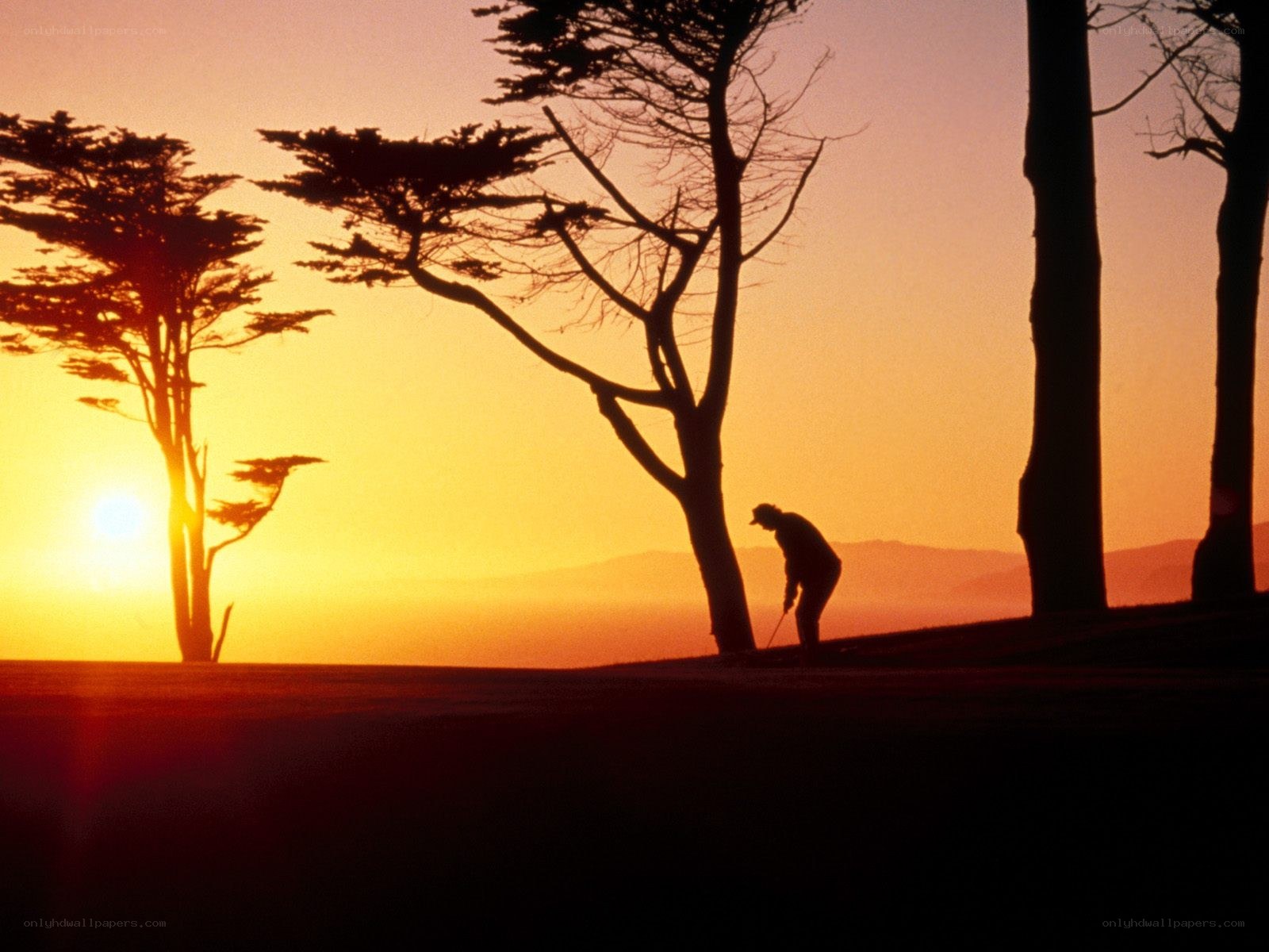 Golfer at sunset silhouette