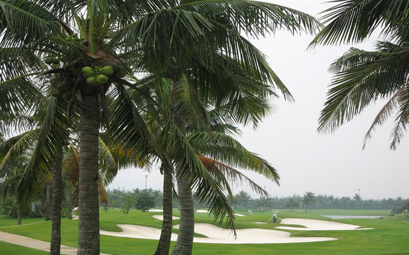 Golfer on a Course — Green