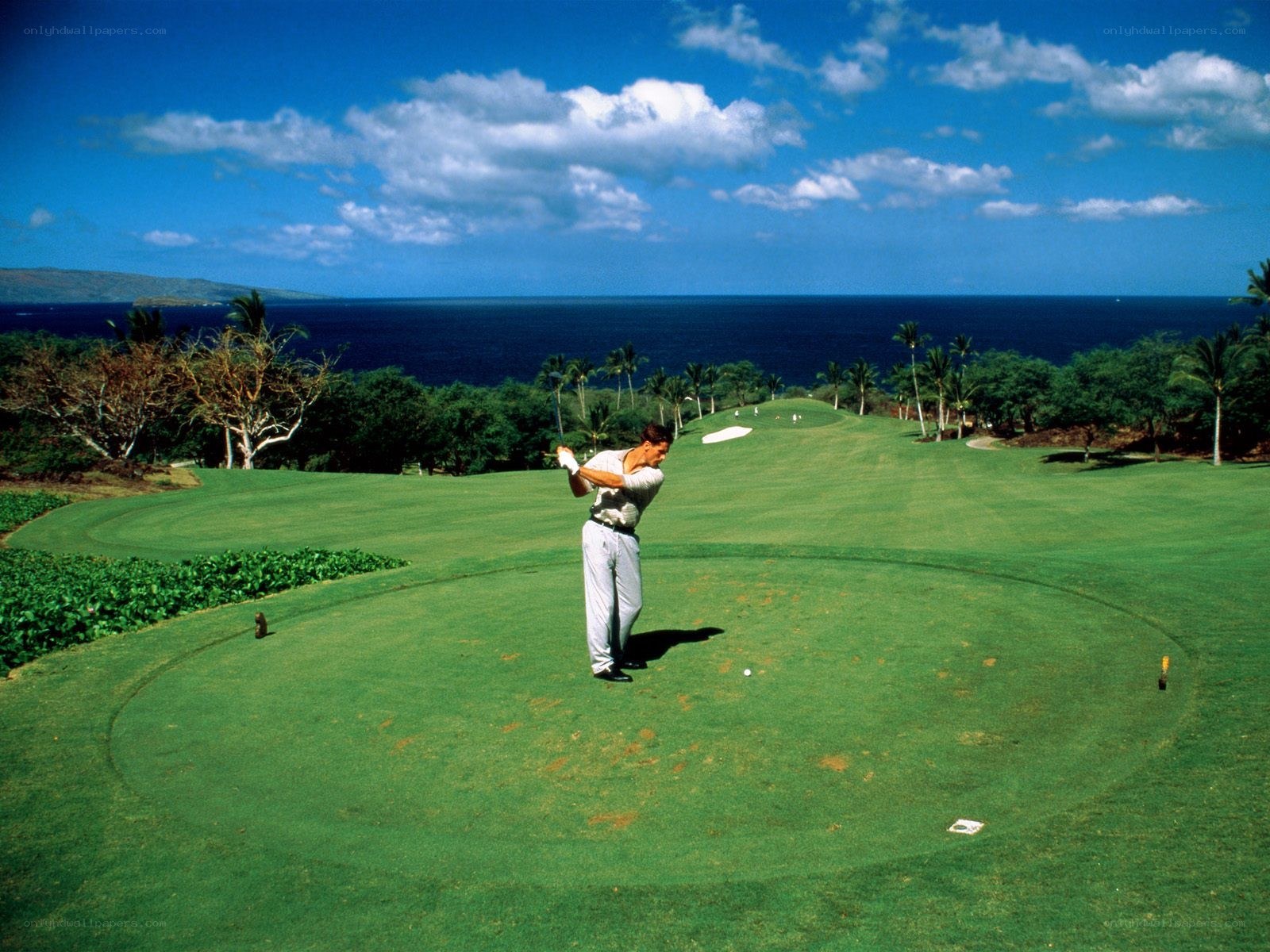 Golfer on a scenic course