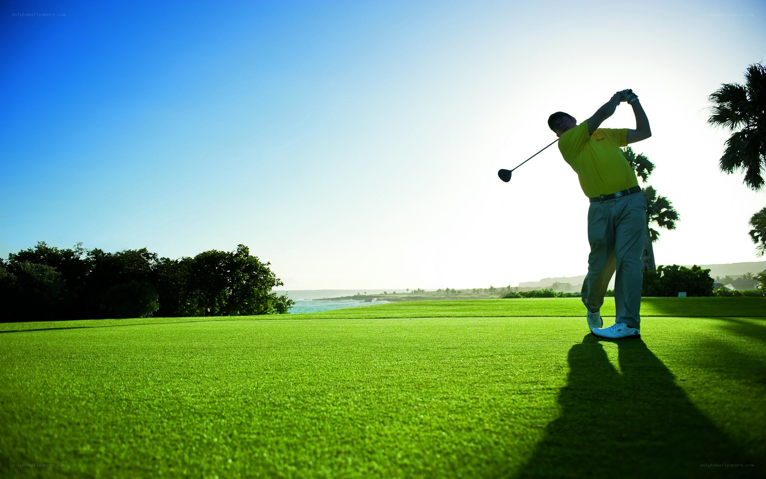 Golfer on a sunny day