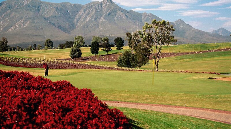 Golfer on Green — Serene