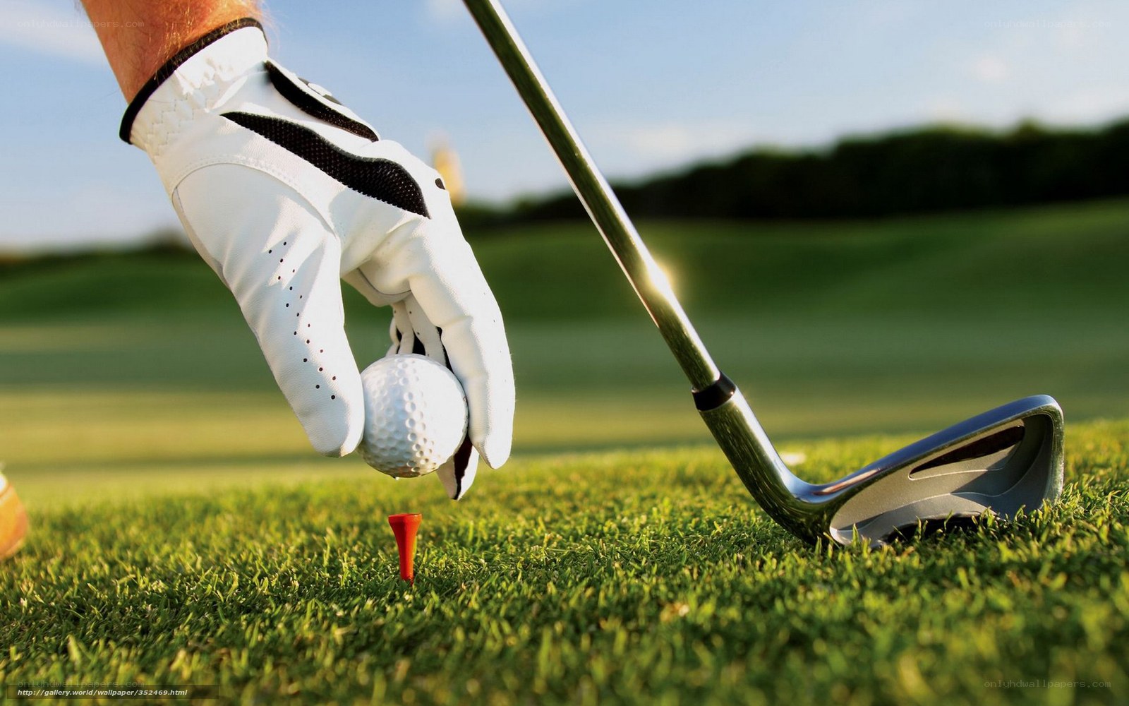 golfer placing ball on tee