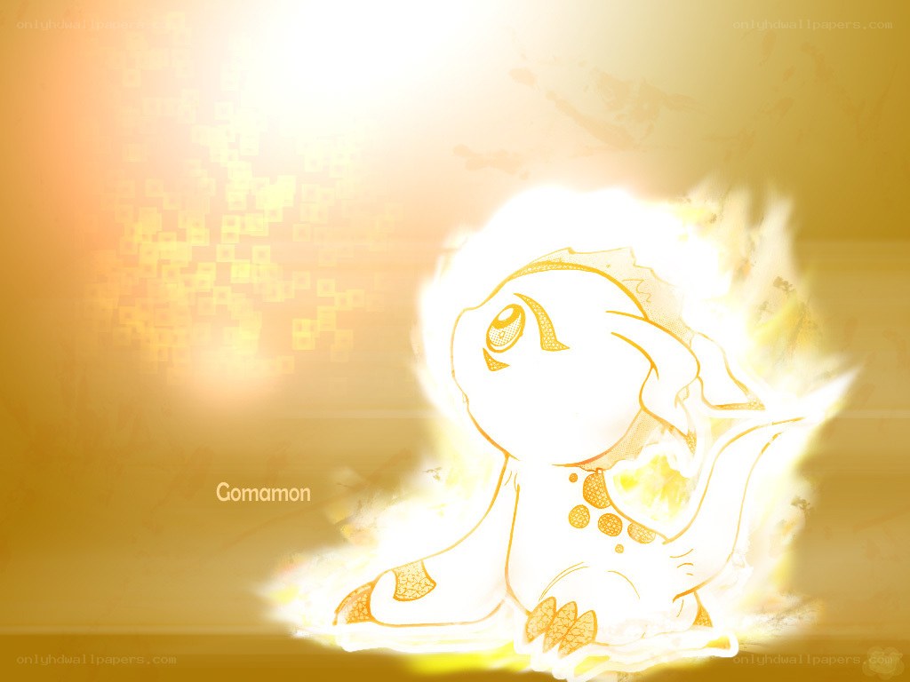Gomamon in golden light