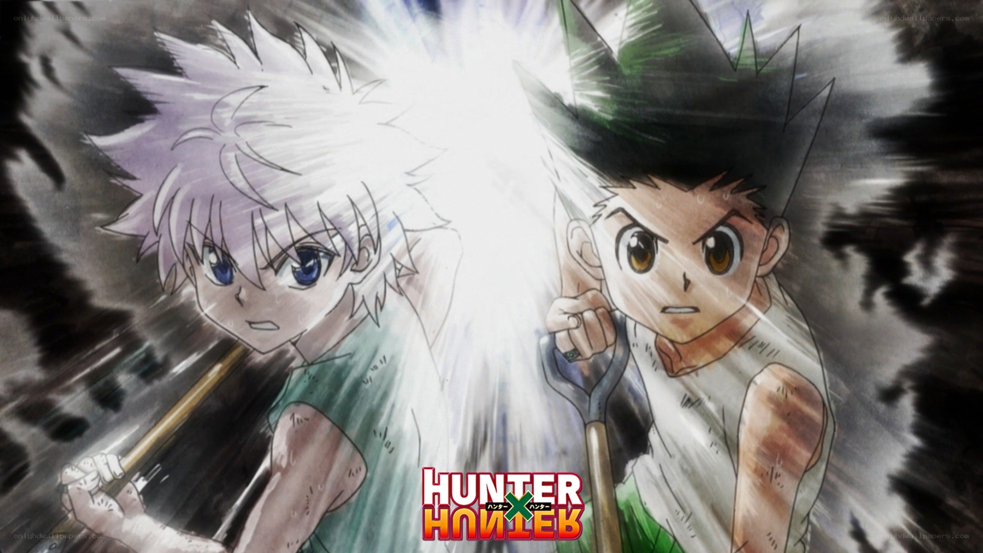 Gon and Killua in battle