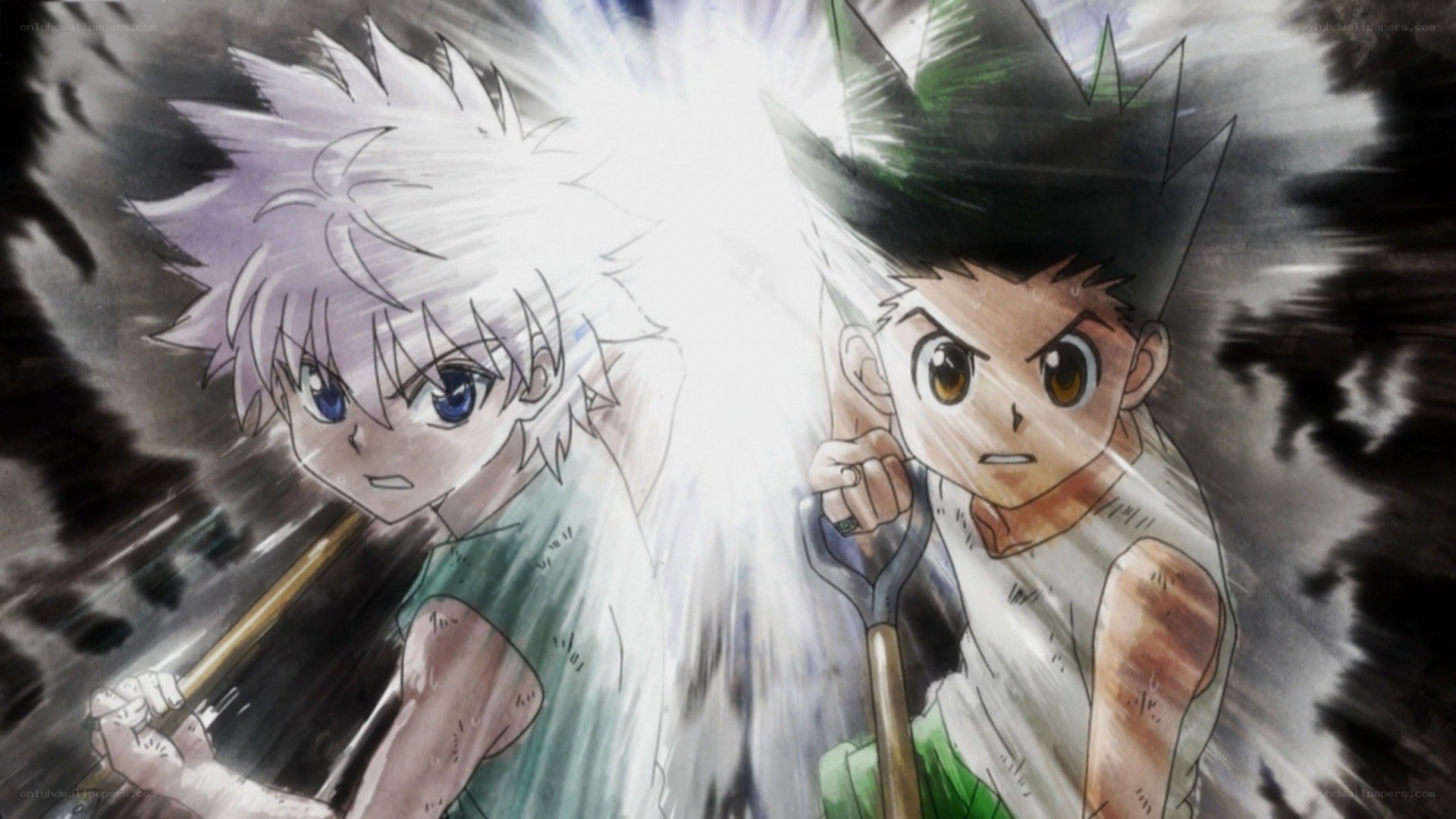 Gon and Killua in battle