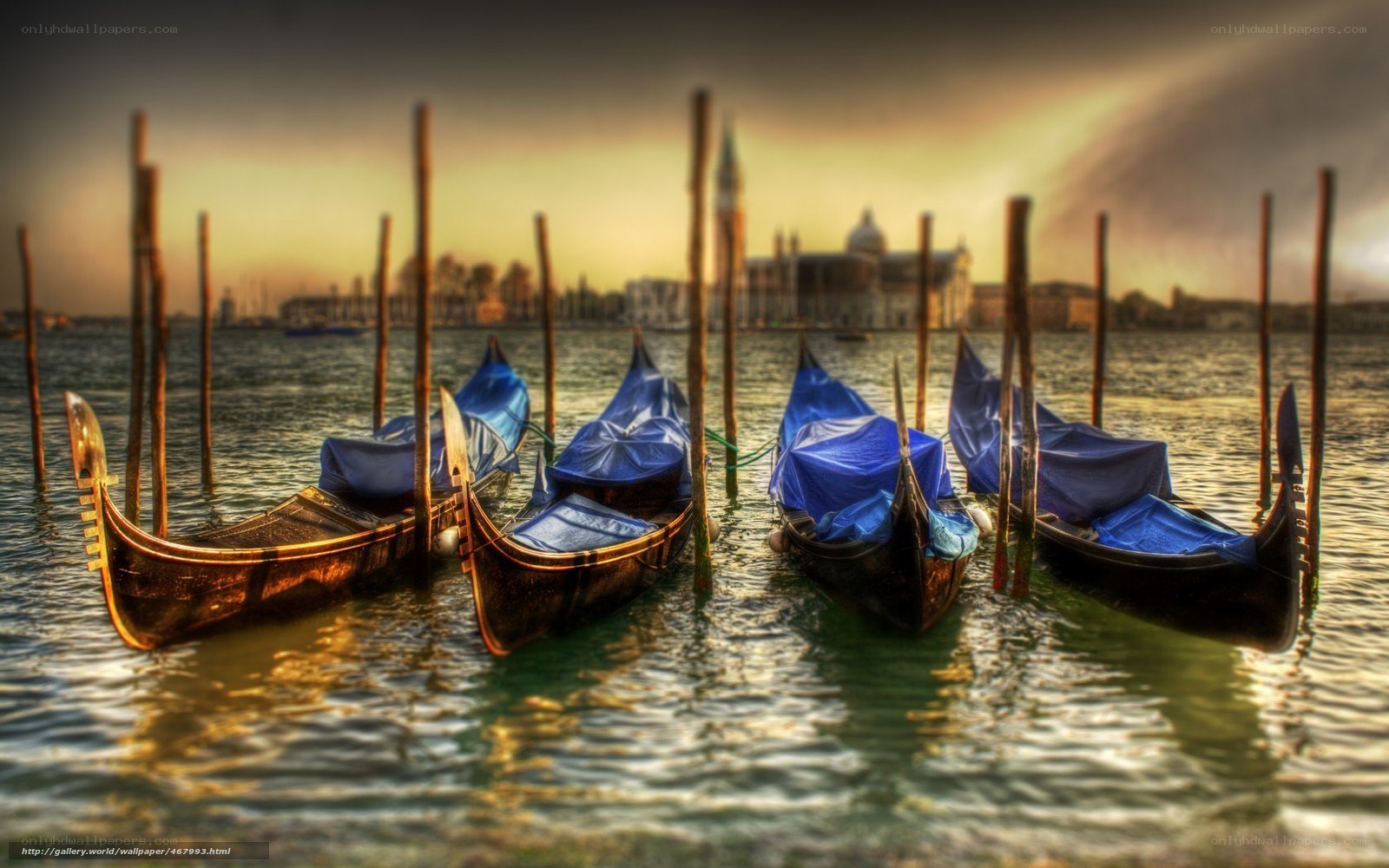 Gondolas at sunset in Venice