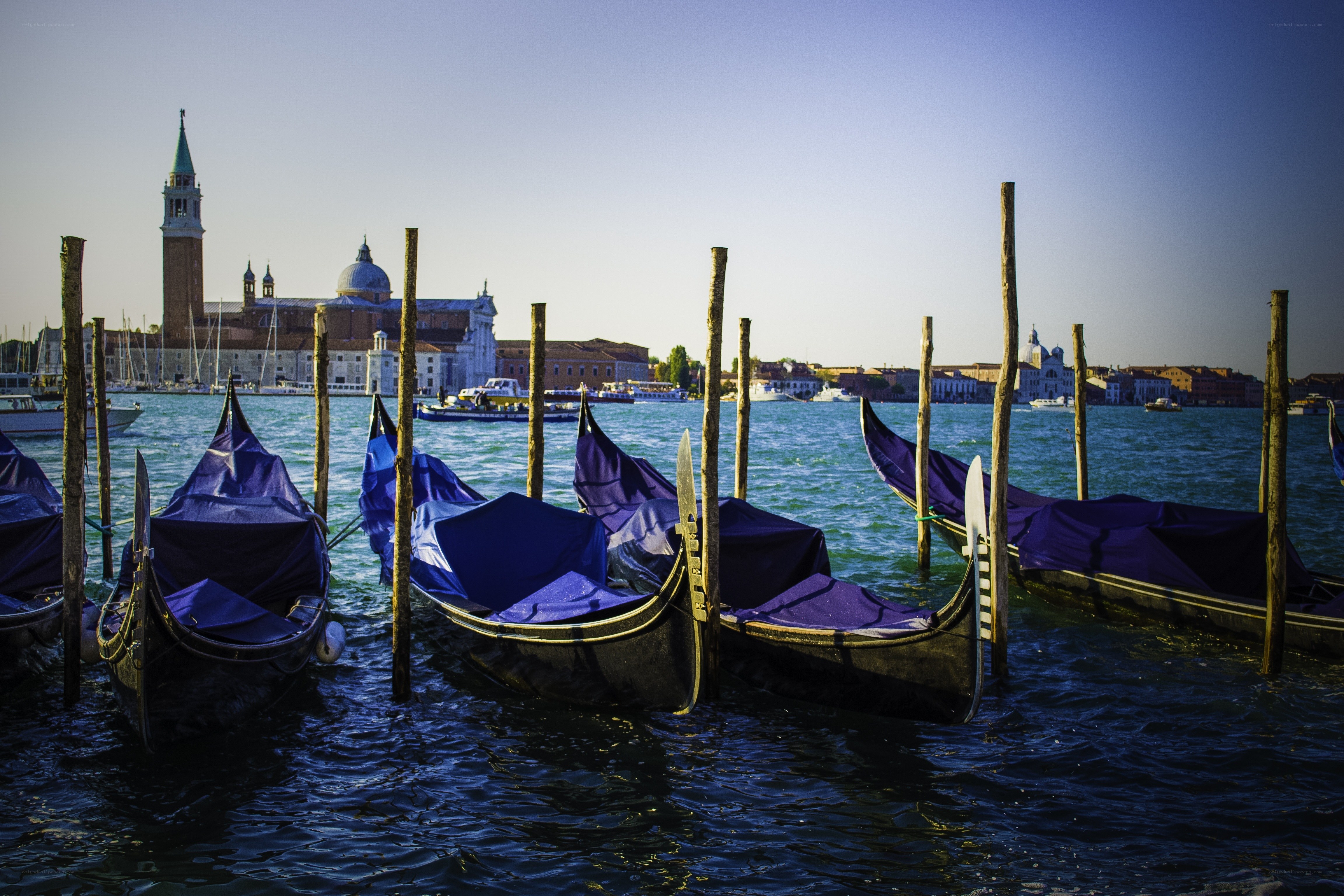 Gondolas docked in Venice