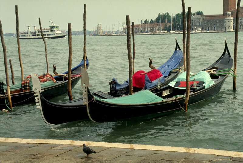 Gondolas docked in Venice