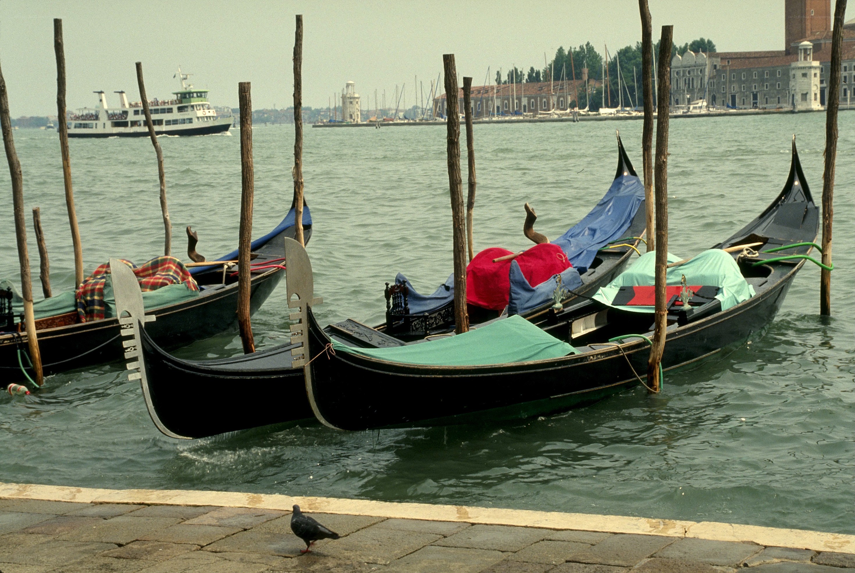 Gondolas docked in Venice