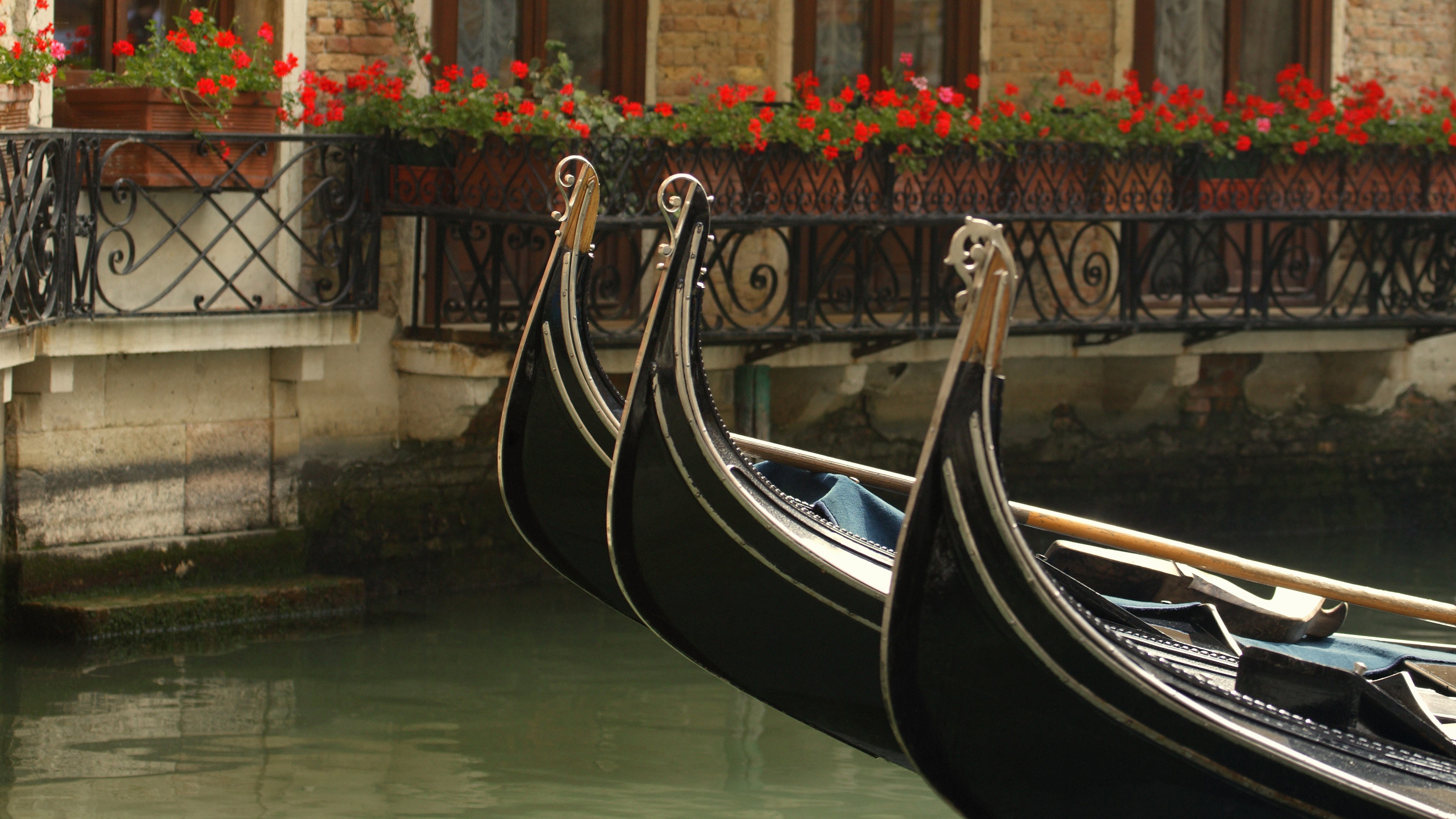 Gondolas docked in Venice