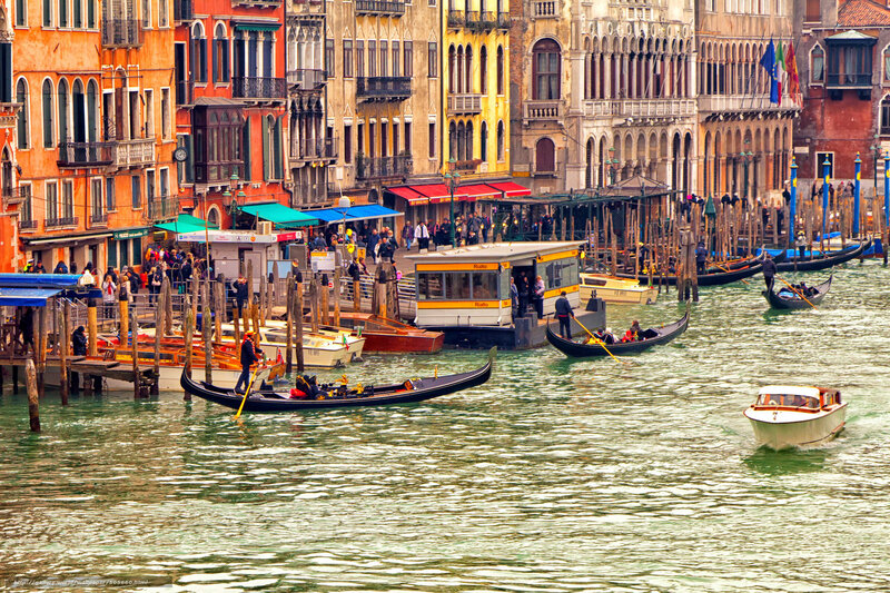 Gondolas in Canal — Green, Busy, Afternoon