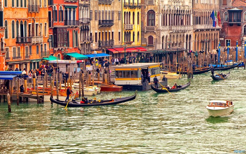 Gondolas in Canal — Green, Busy