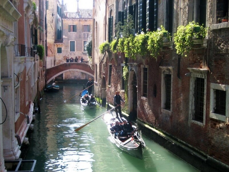 Gondolas in Canal — Green, Serene