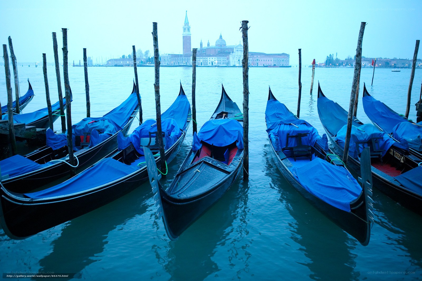 Gondolas in Venice at Dawn