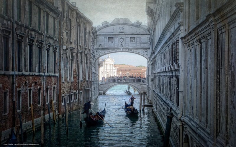 Gondolas in Venice Canal — Gray