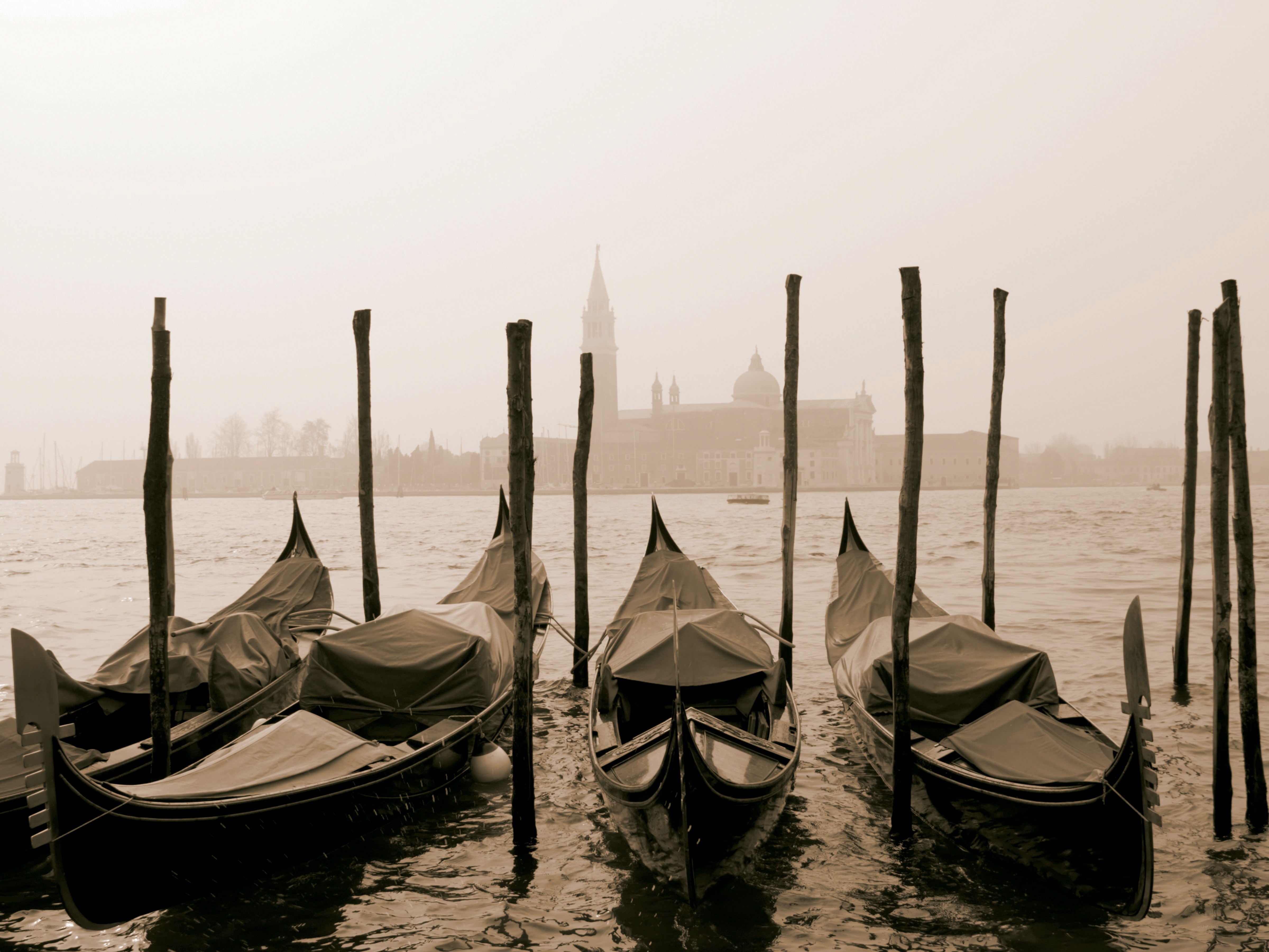 Gondolas in Venice fog