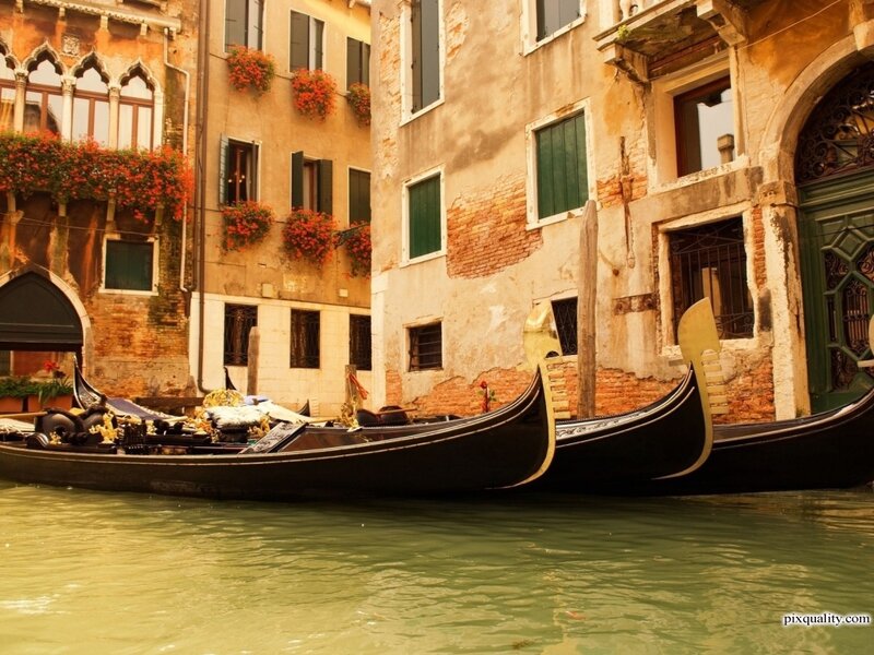 Gondolas on Canal — Green, Serene, Afternoon