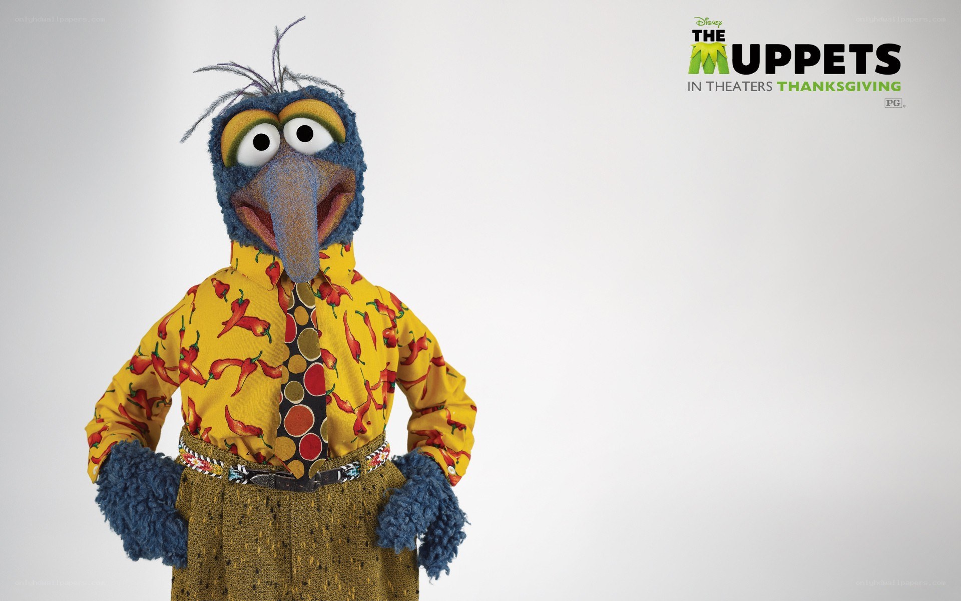 Gonzo in a chili shirt