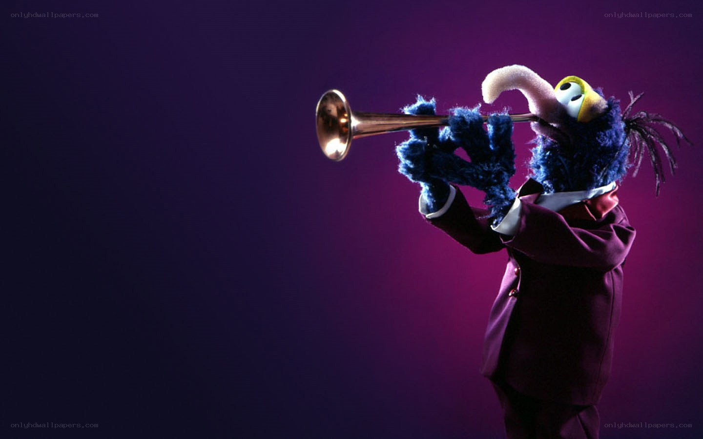 Gonzo playing trumpet