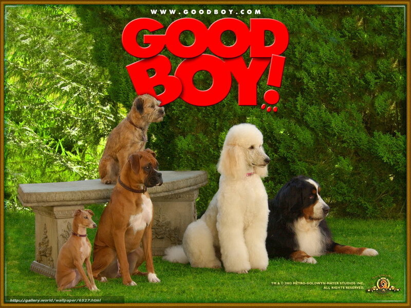 Good Boy movie poster