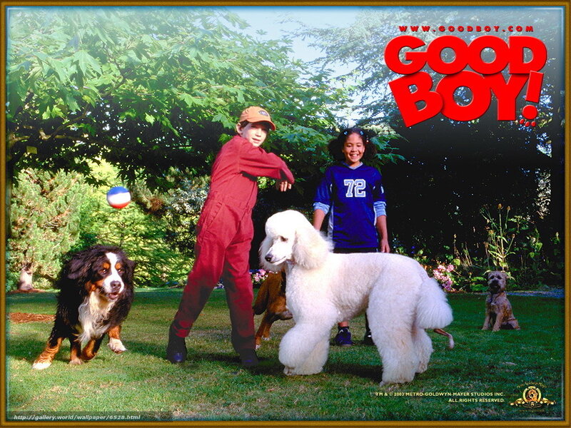 Good Boy movie poster