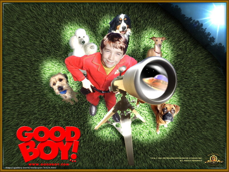 Good Boy movie poster