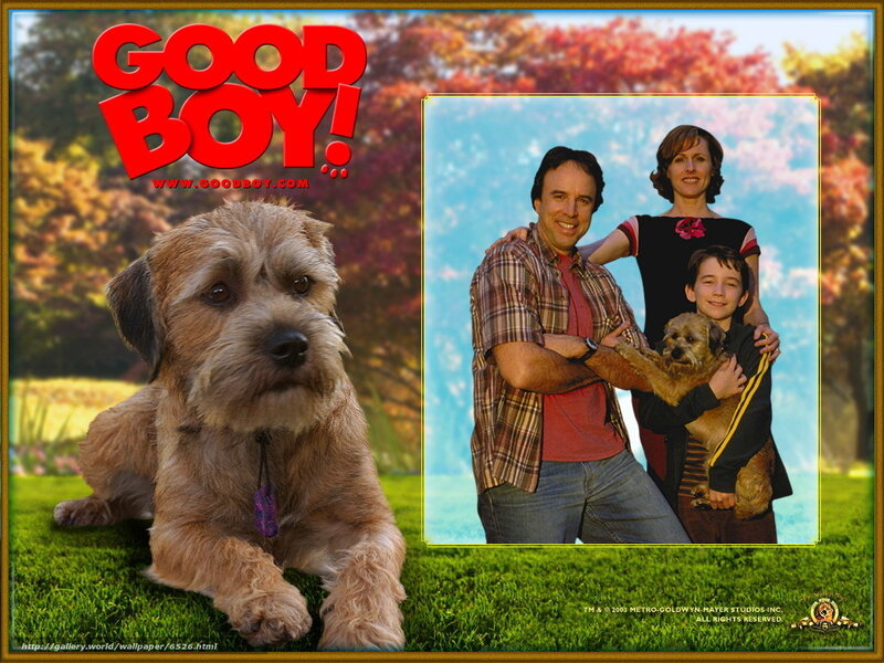 Good Boy movie poster