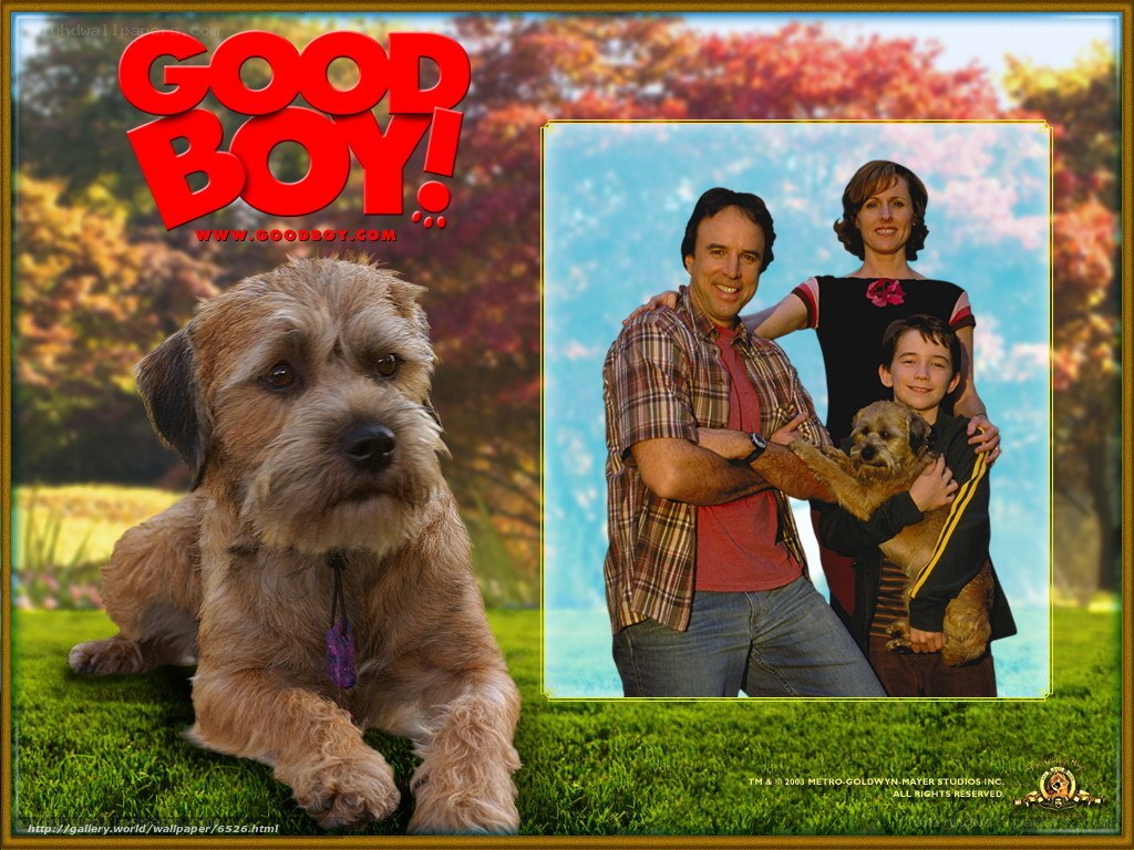 Good Boy movie poster