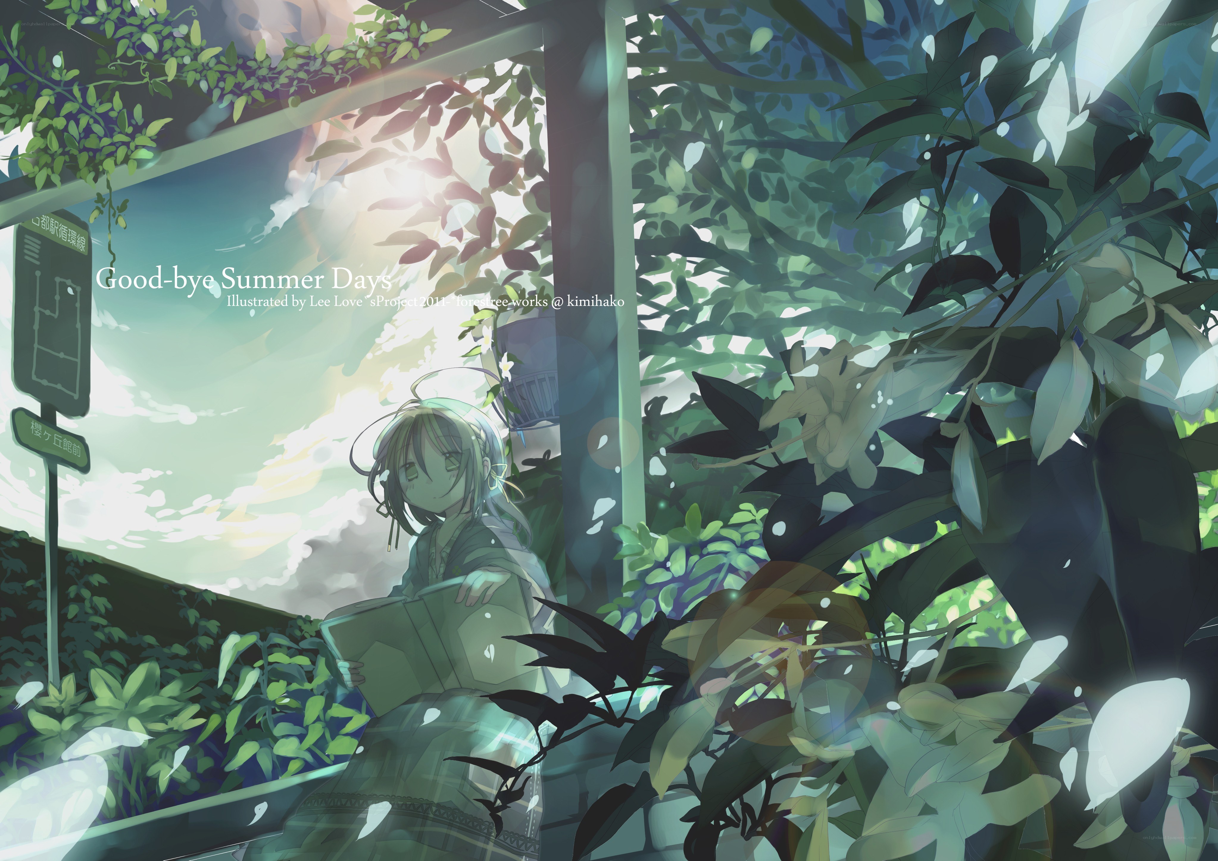 Good-bye Summer Days