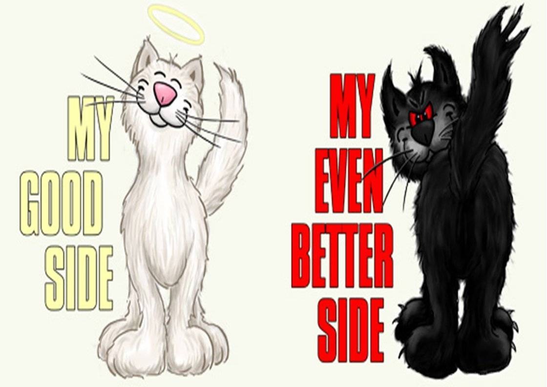 Good side vs evil side cat