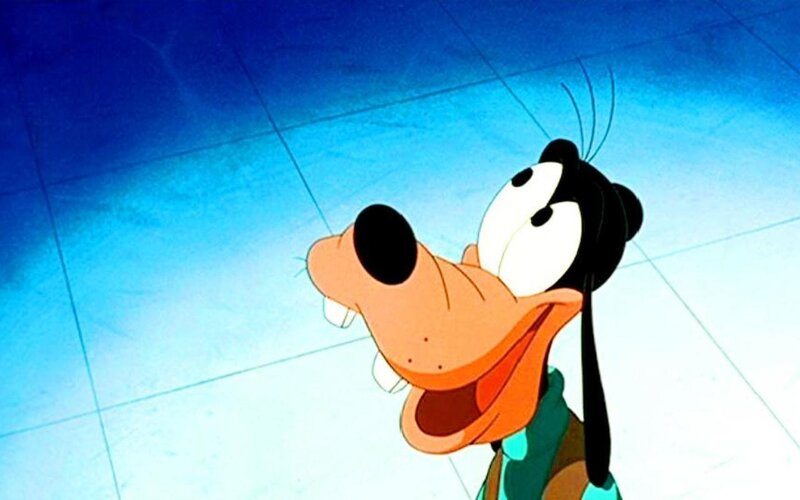Goofy Looking Up