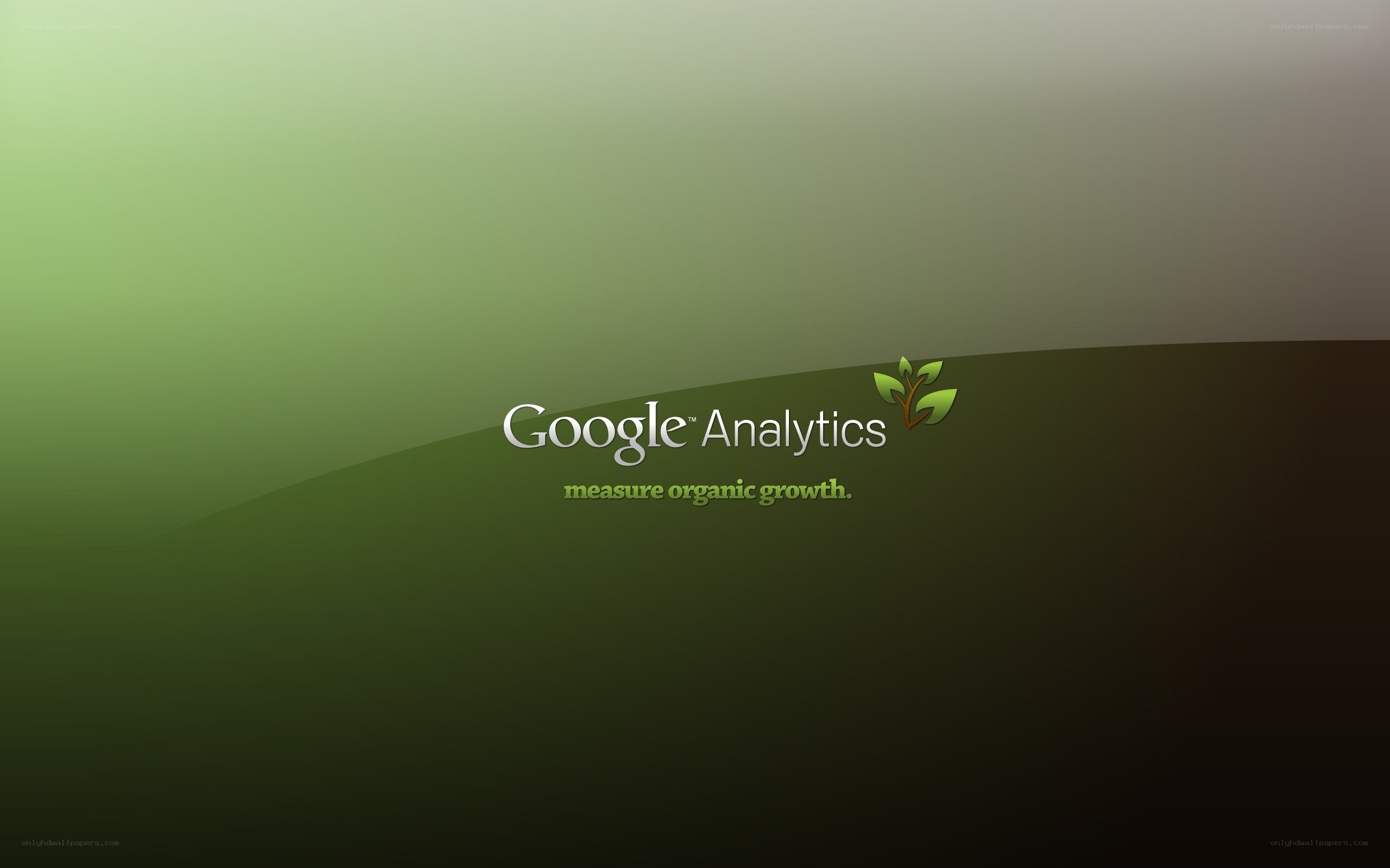 Google Analytics logo