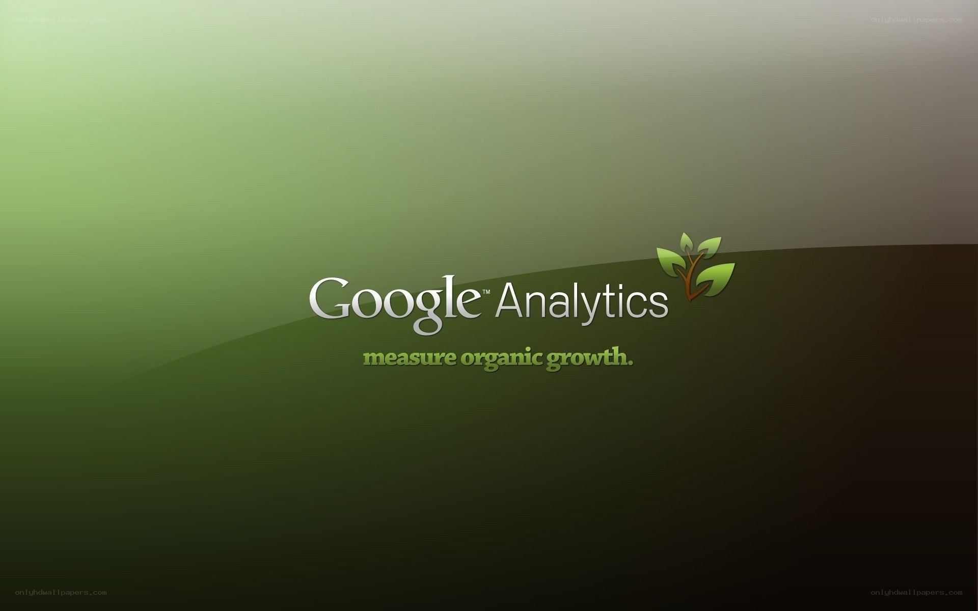 Google Analytics logo