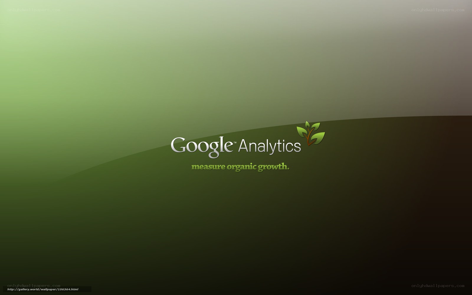 Google Analytics wallpaper