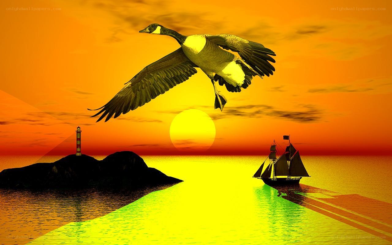 Goose flying over sunset sea
