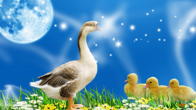 Goose with Ducklings