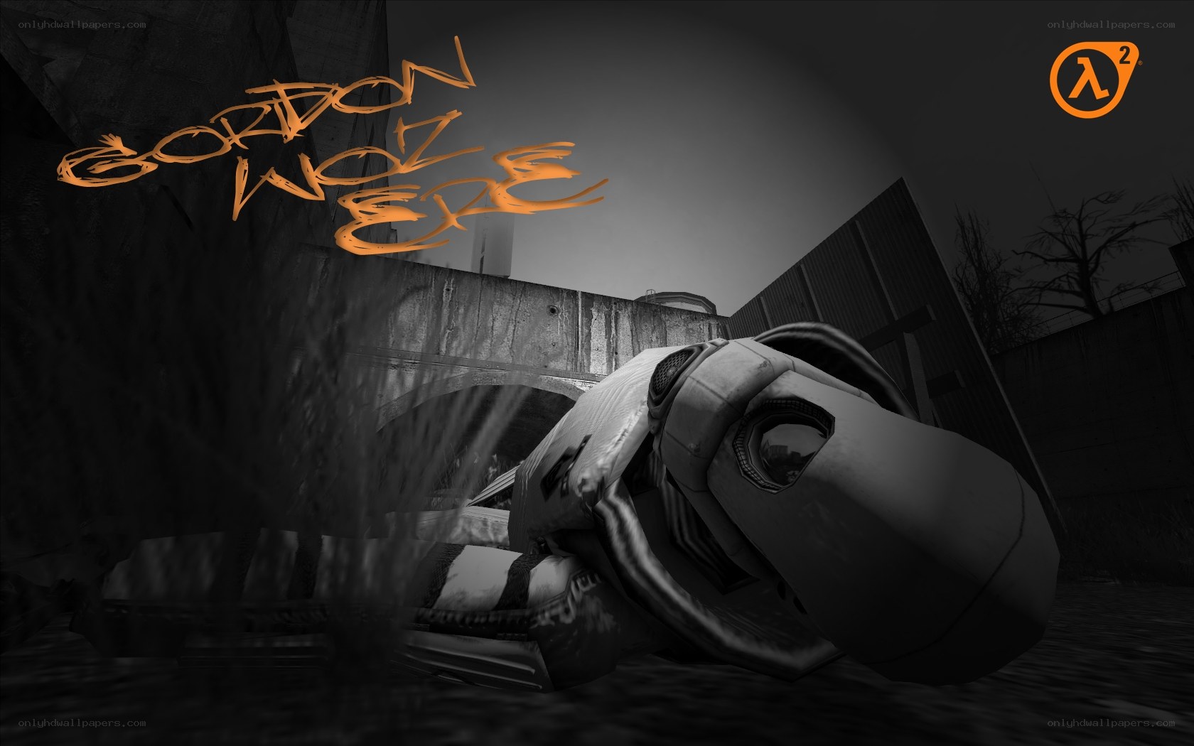 Gordon Freeman lying on ground