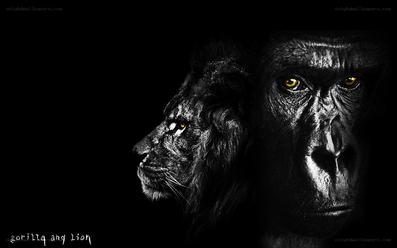 gorilla and lion portrait