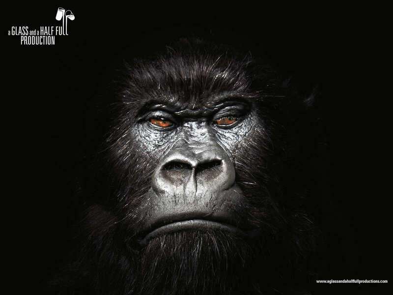 Gorilla Face Close-up — Black, Dramatic, Photograph