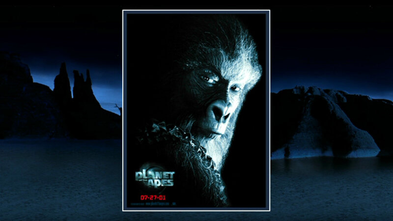 Gorilla Face in Dark