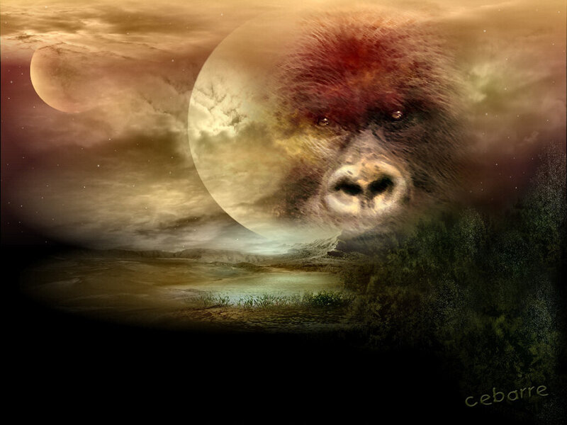 Gorilla Face in Sky