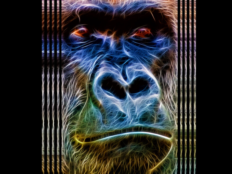 Gorilla Face