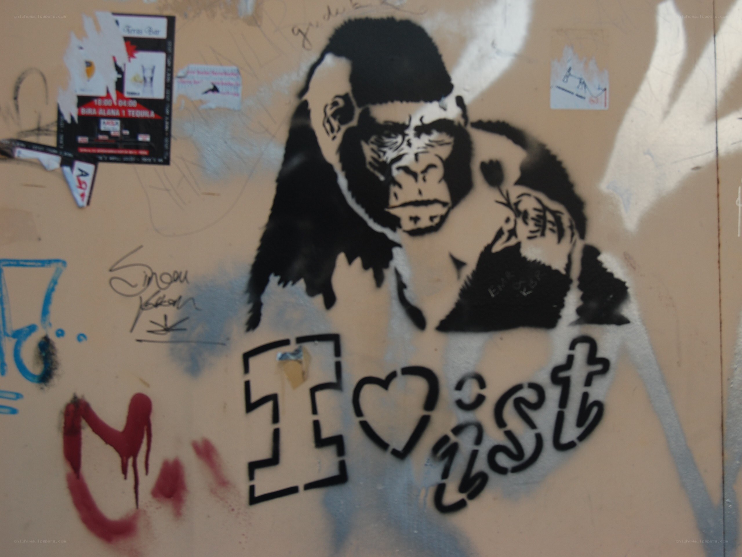 Gorilla graffiti with I love ist