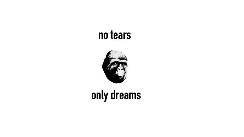 Gorilla Head Illustration