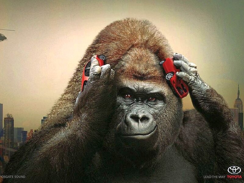 Gorilla Holding Toy Cars