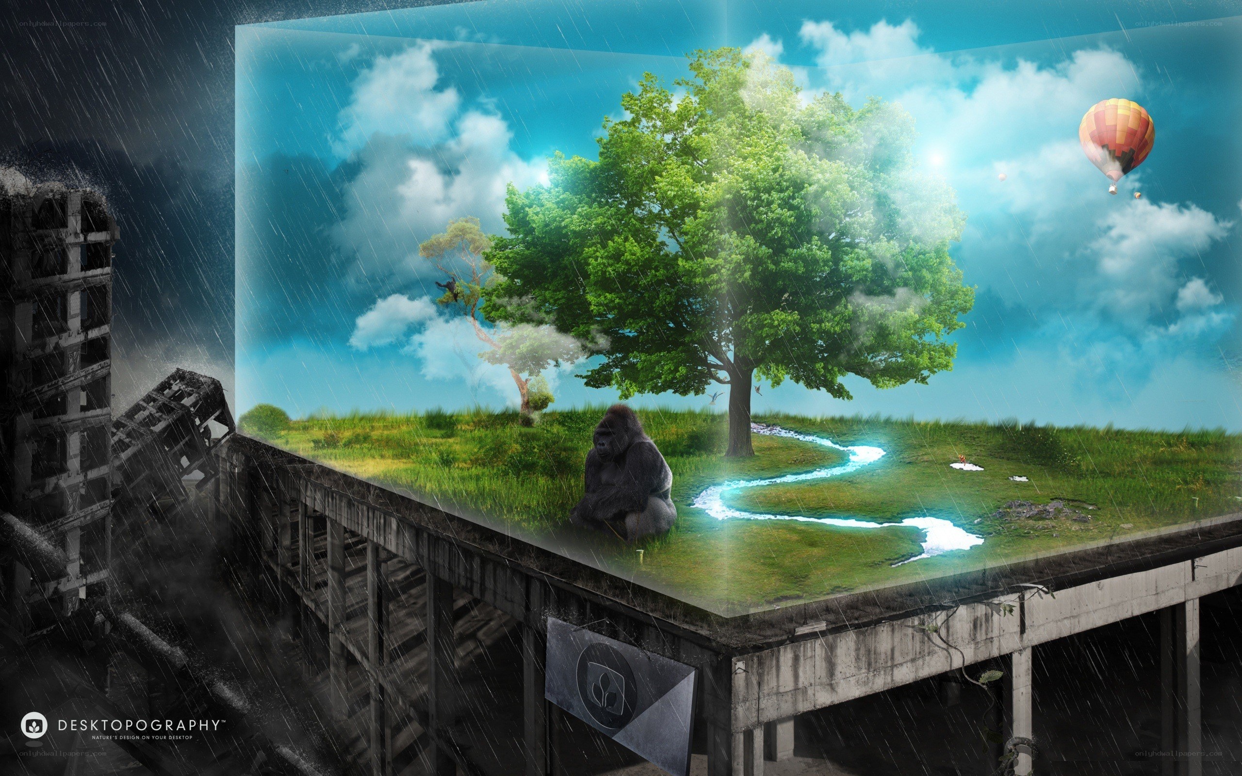 Gorilla in a glass box
